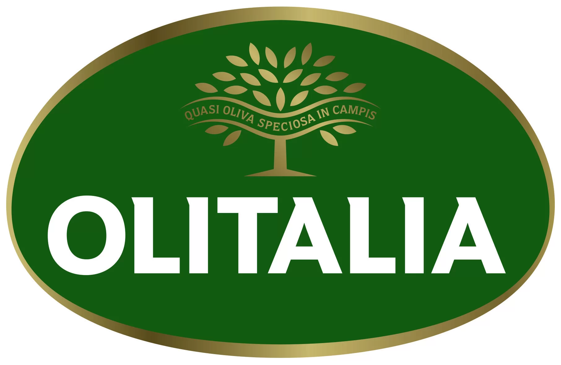 https://www.aporteaperte.it/wp-content/themes/Divi-Child/assets/img/partners_main/logo-olialia.webp