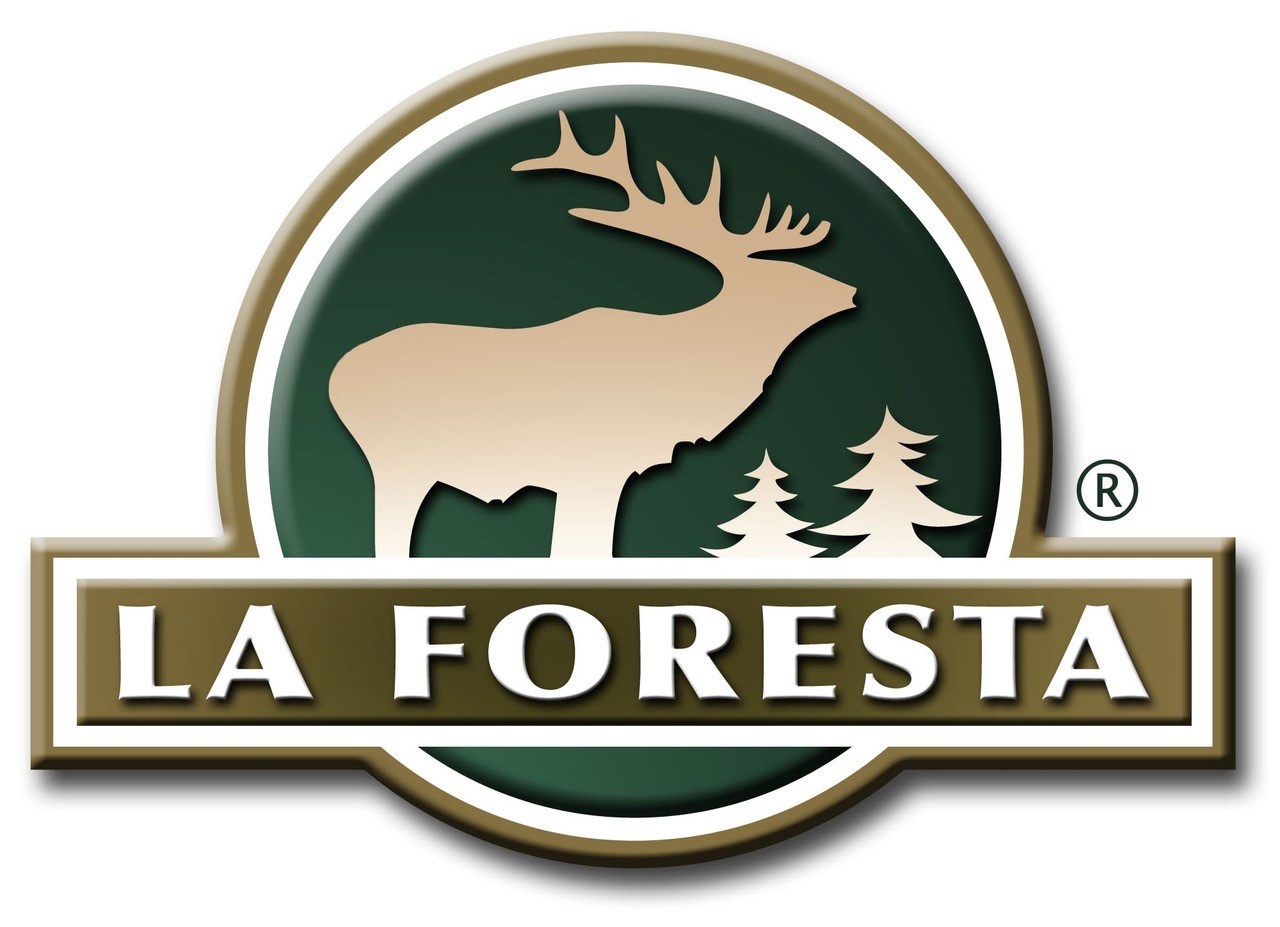silver_foresta